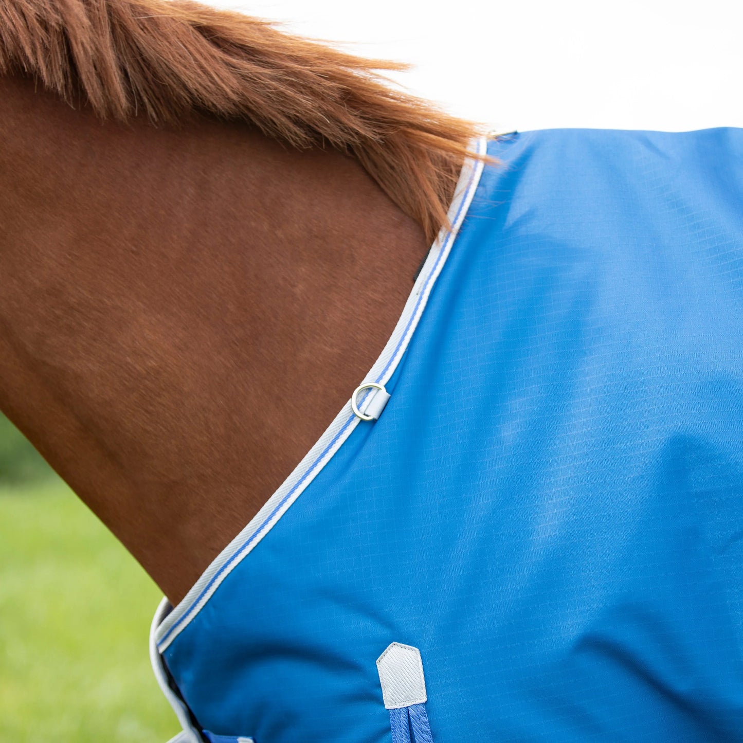 Highlander Original 200 Turnout Rug