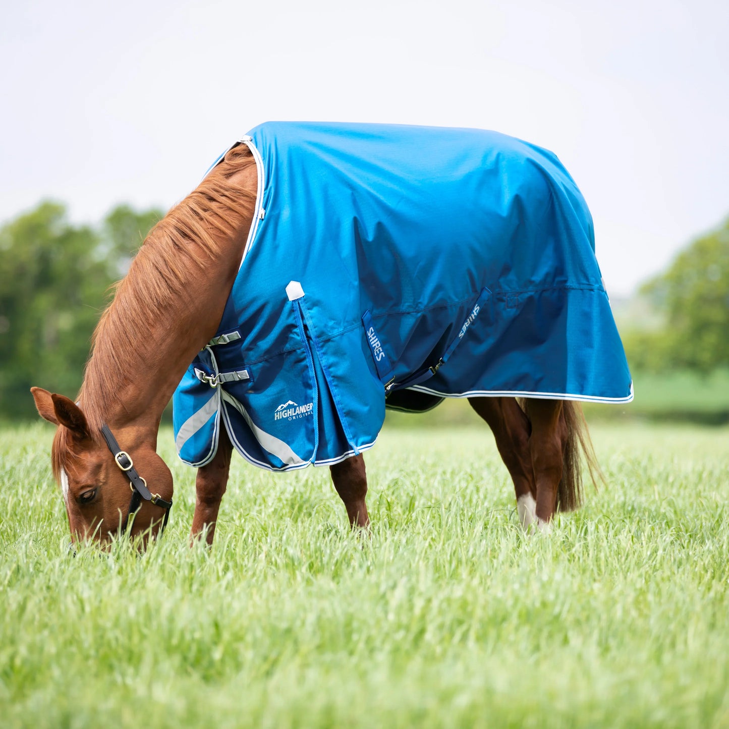Highlander Original 200 Turnout Rug