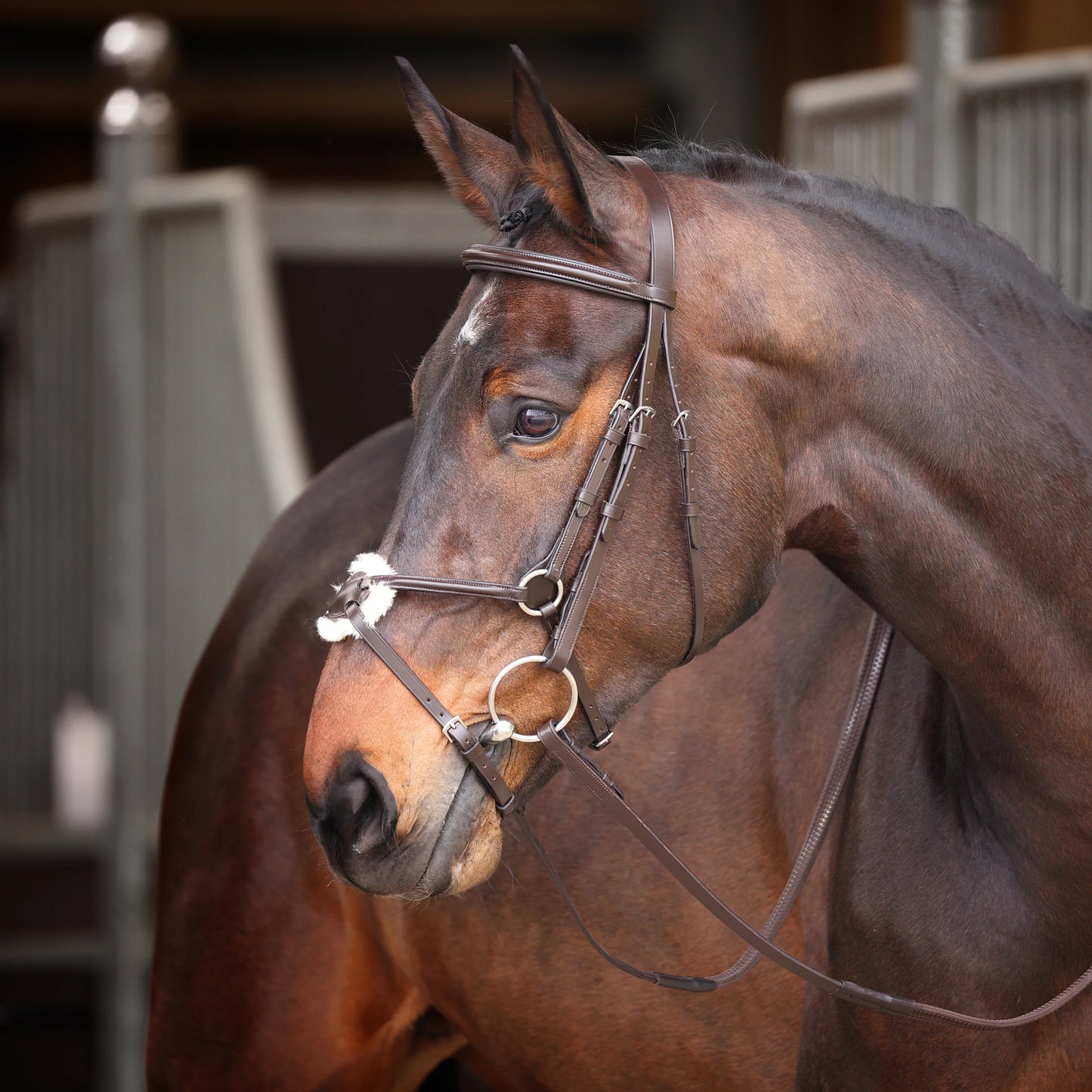 Velociti GARA Mexican Bridle