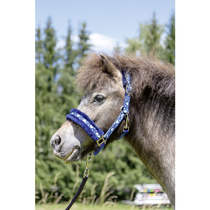 Head collar -Heart
