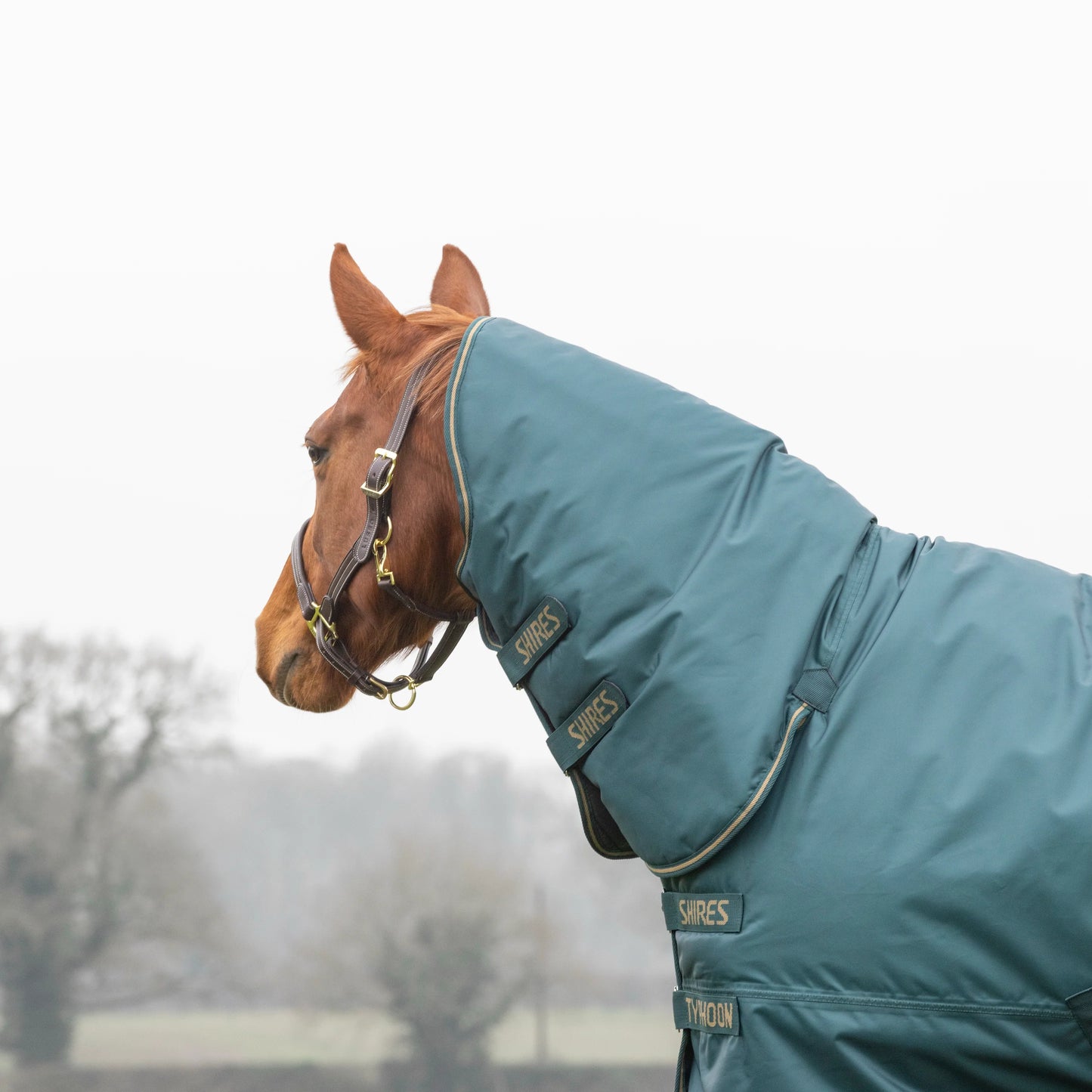 Typhoon 200 Combo Turnout Rug