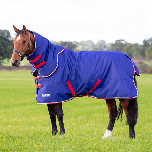 Tempest Original 100 Turnout Rug & Neck