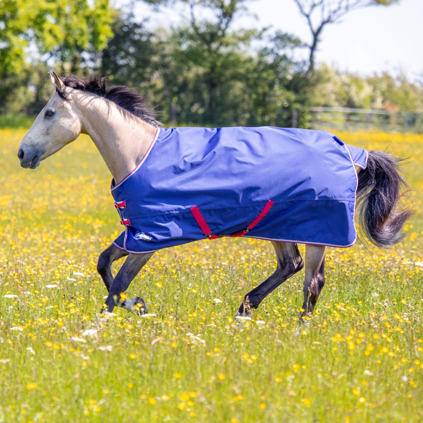 Tempest Original 100 Turnout Rug & Neck