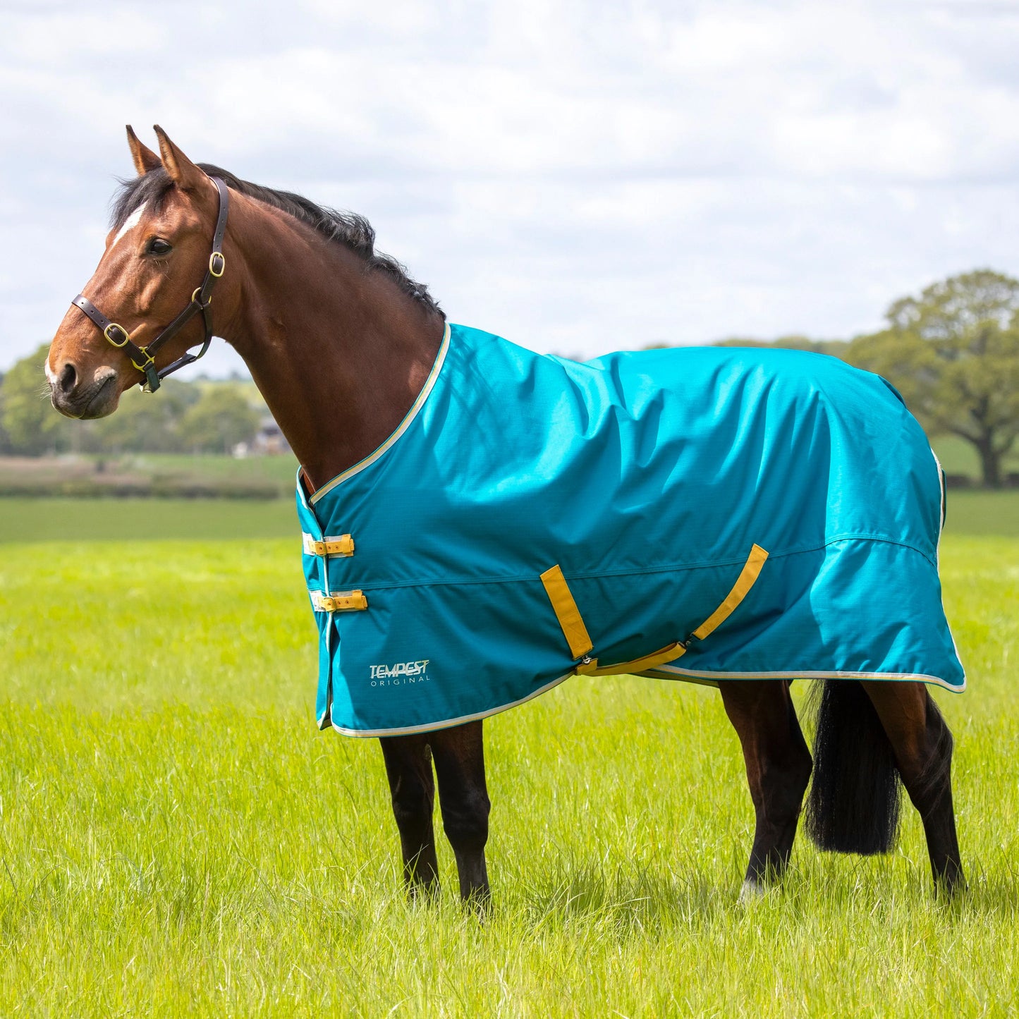 Shires Tempest Original 50 Turnout Rug