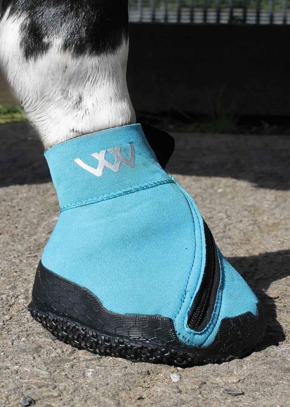 MEDICAL HOOF BOOT