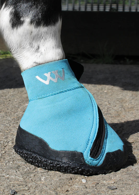 MEDICAL HOOF BOOT