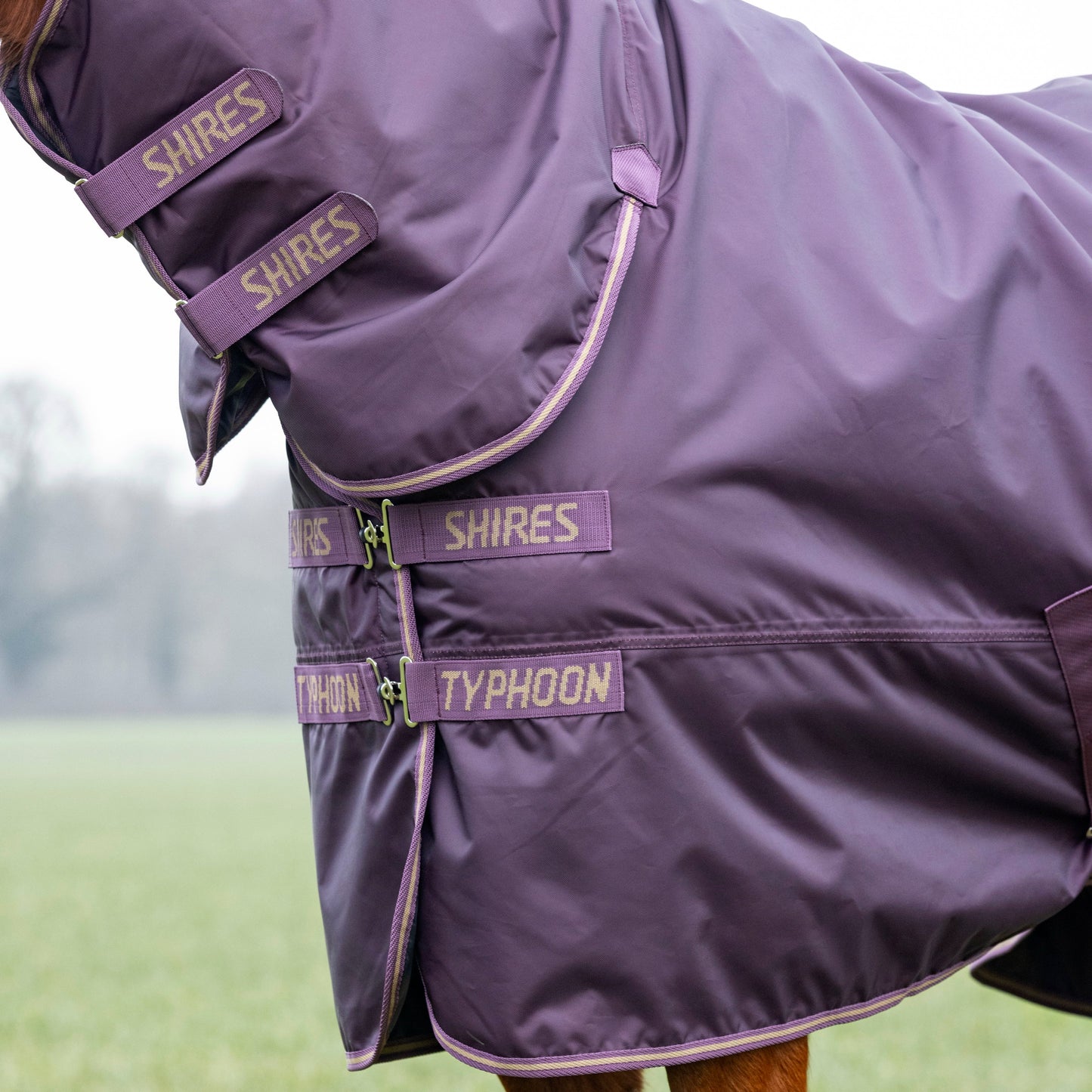 Shires Typhoon 100 Combo Turnout Rug