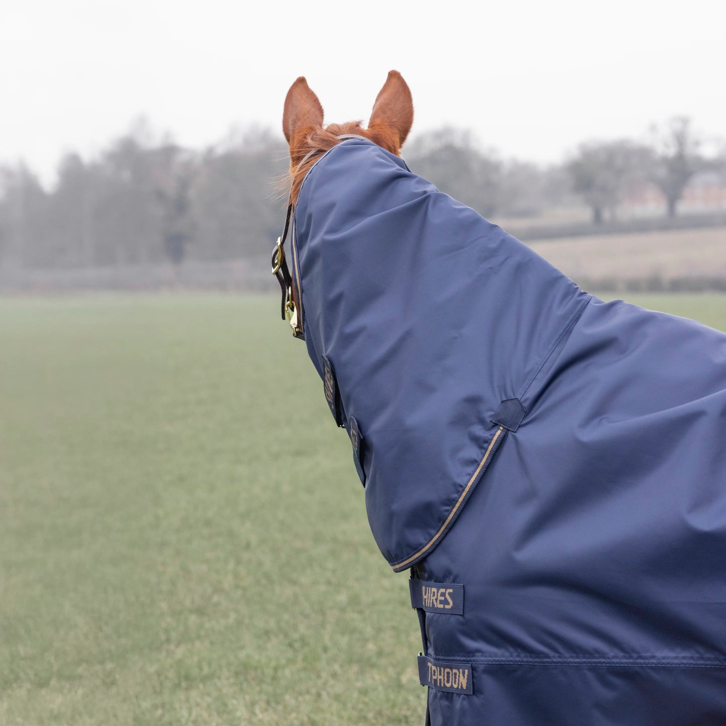 Shires Typhoon Lite Combo Turnout Rug