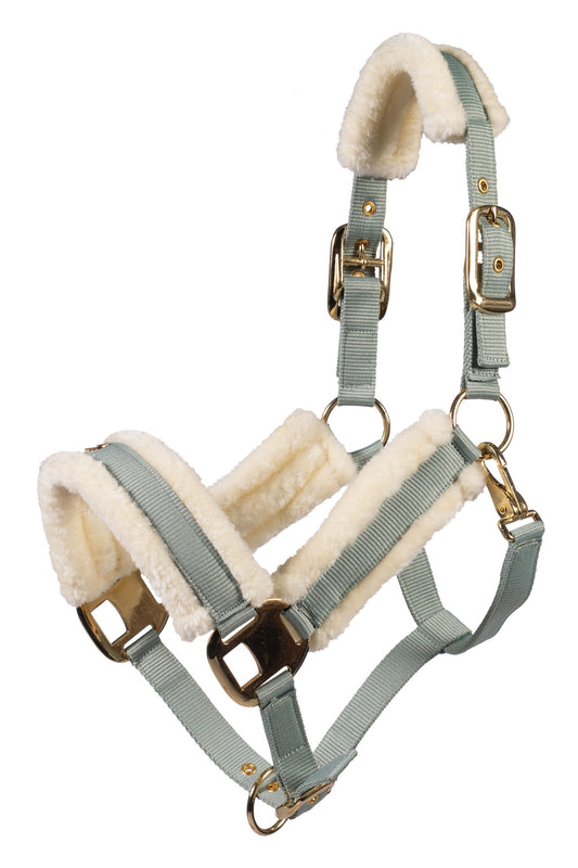 Head collar -Limone Elegant